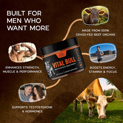 Lonvera Vital Bull Beef Organ Supplement for Men – Grass-Fed Liver, Testicle, Prostate & Bone Marrow | 30 Day Supply