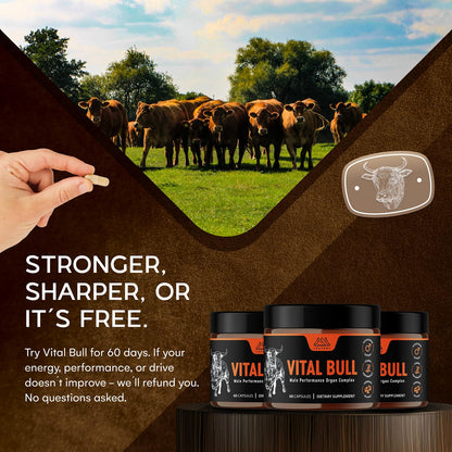 Lonvera Vital Bull Beef Organ Supplement for Men – Grass-Fed Liver, Testicle, Prostate & Bone Marrow | 30 Day Supply