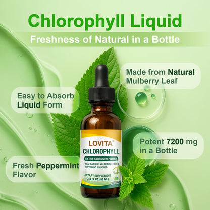 LOVITA Chlorophyll Liquid Drops – 120 mg/mL, Mint Flavor, 60 Servings