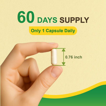LOVITA Odorless Garlic Capsules – 5000mg Fresh Garlic, 1.25% Allicin
