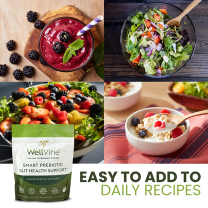 WellVine Premium Smart Prebiotic Gut Health Supplement Powder for Men & Women | Digestive Support & Gut Health With 100% Upcycled Chardonnay Grapes | Plant-Based, Gluten and Allergen-Free | 4.75Oz