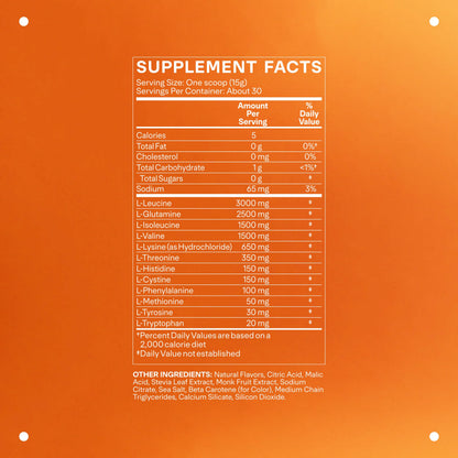 LTH Rally Amino Recovery – BCAA + L-Glutamine Powder (30 Servings) – Lemon Lime