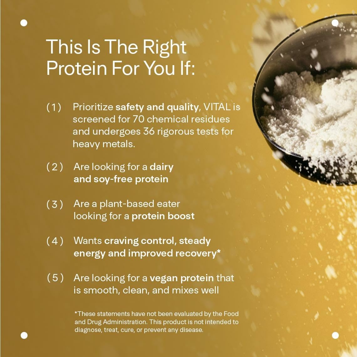 LTH Vital Vegan Protein – Plant-Based Pea Protein Powder | Vanilla, 30 Servings | Dairy Free & Soy Free