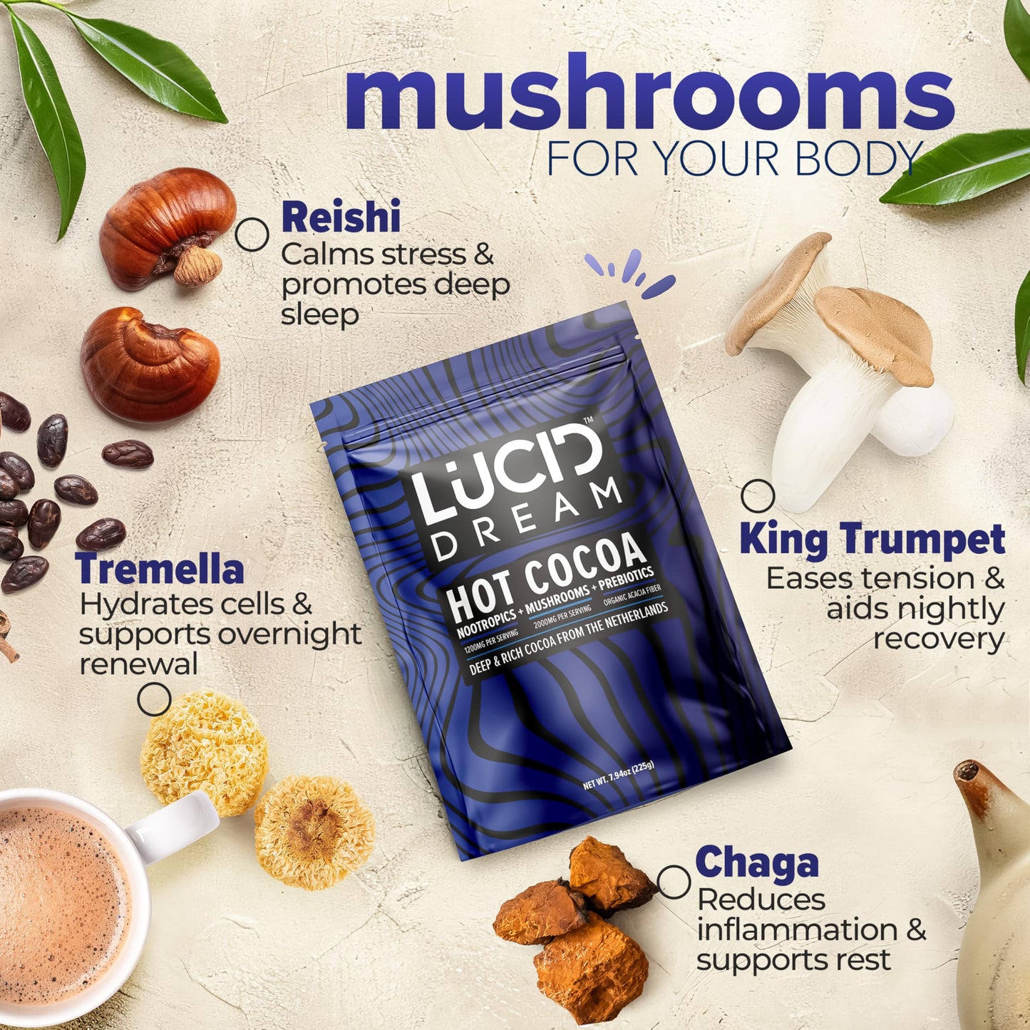 Lucid Dream Mushroom Hot Cocoa for Sleep – Nighttime Adaptogen Blend with Melatonin | 7.94 oz Chocolate