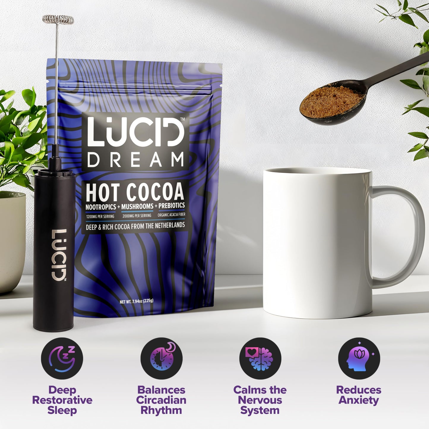 Lucid Dream Mushroom Hot Cocoa for Sleep – Nighttime Adaptogen Blend with Melatonin | 7.94 oz Chocolate