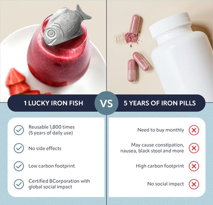 Lucky Iron Fish – The Original Daily Iron Fortification Tool (5-year supply included)
