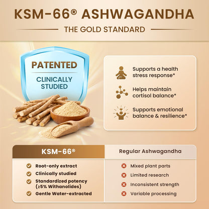 Lukaree 10-in-1 Cortisol Supplements – KSM-66 Ashwagandha + L-Theanine, 120 Caps (2 Pack)