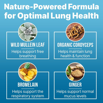 Lung Clear Pro: Lung Support Drops with Wild Mullein Leaf Extract – 2 Fl Oz (3 Bottles)