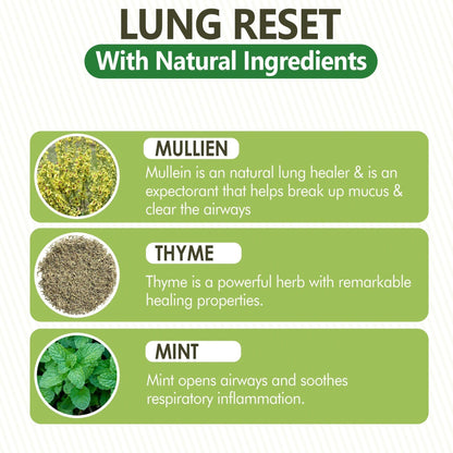 Lung Detox Mullein Diffuser Pen – Natural Lung Health & Detox