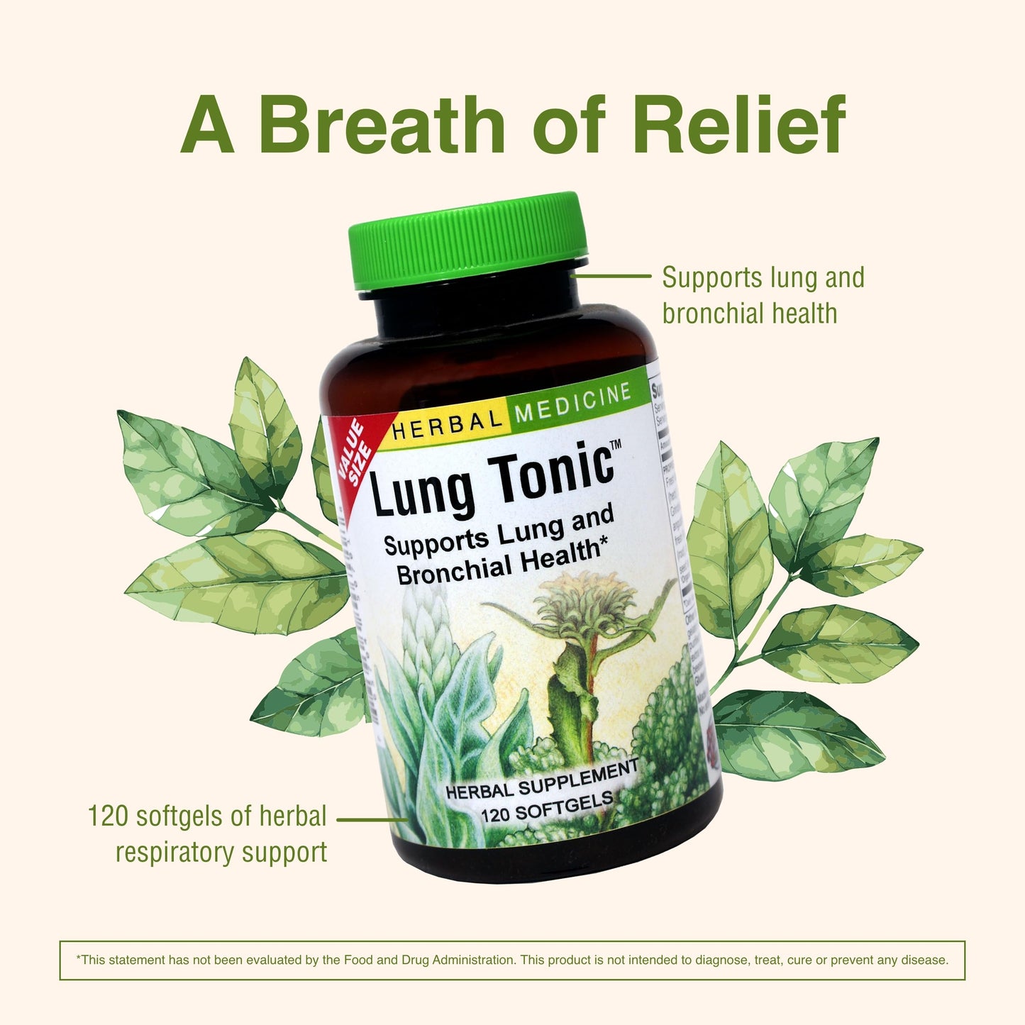 Herbs Etc. Lung Tonic - Bronchial Support for Healthy Breathing | 120 Softgels