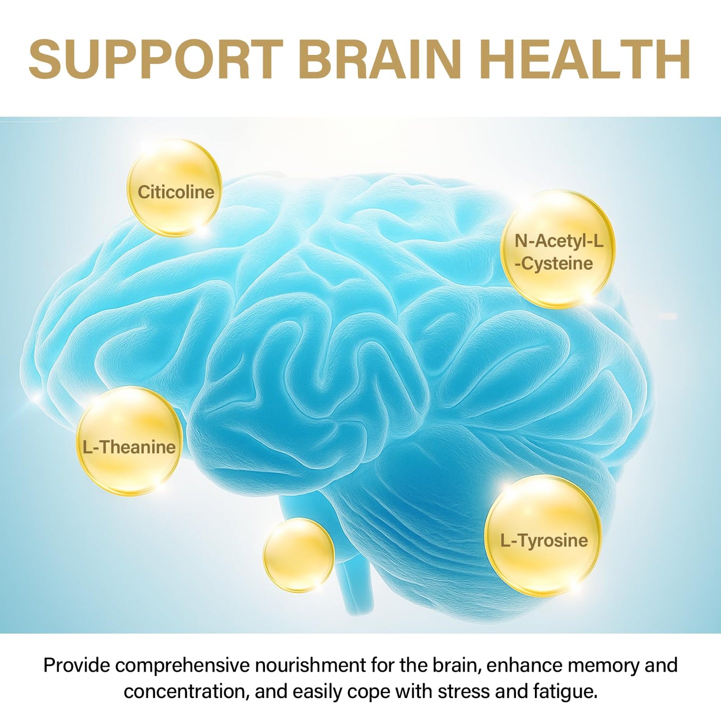 LUXHEALTH Brain Support - 120 Capsules | Memory & Focus with B12