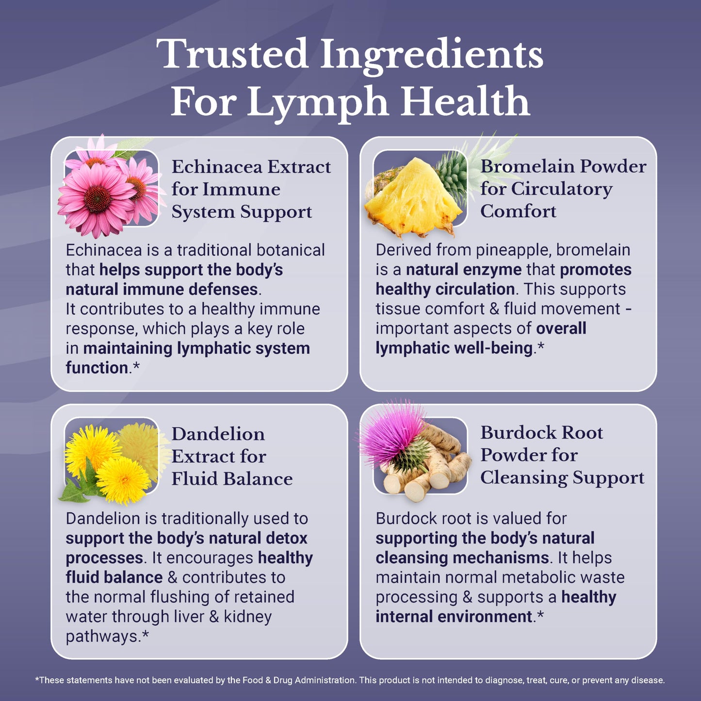 NATION HEALTH MD Lymph MD – Lymphatic Drainage Supplement with Bromelain, Echinacea, Burdock, Dandelion & More | 60 Capsules