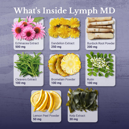 NATION HEALTH MD Lymph MD – Lymphatic Drainage Supplement with Bromelain, Echinacea, Burdock, Dandelion & More | 60 Capsules