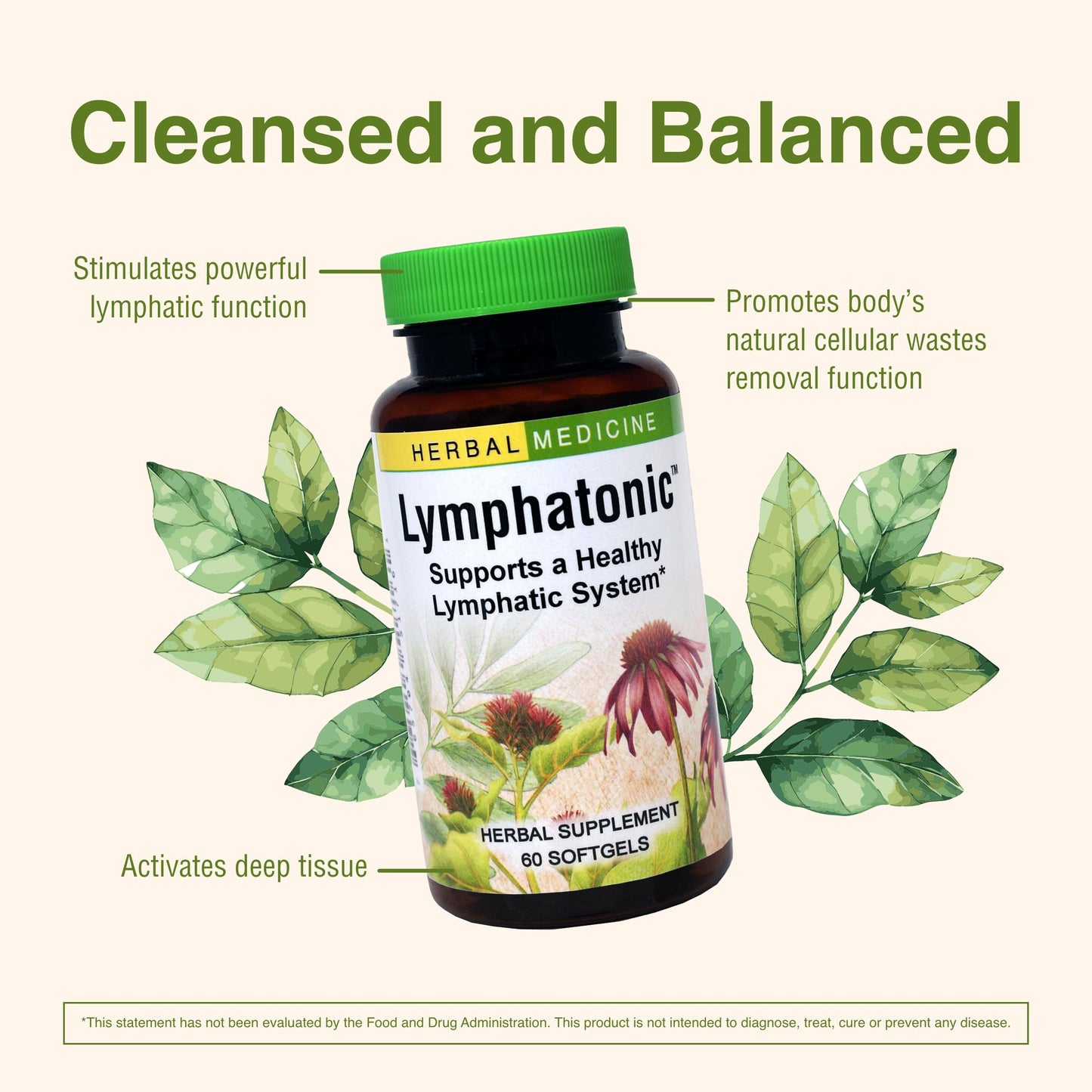Herbs Etc. Lymphatonic Softgels – Lymphatic System Support, Gluten-Free, 60 Softgels (2 Pack)
