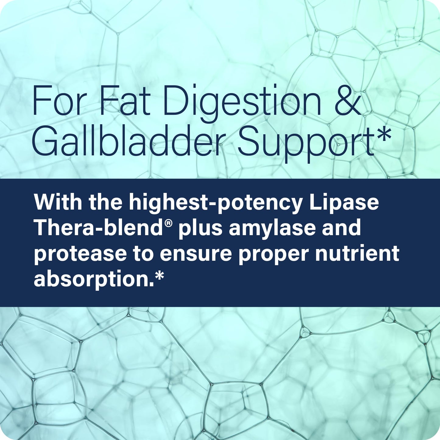 Enzyme Science Lypo Optimize – Lipase Digestive Enzyme Supplement – Vegan & Kosher – 90 Capsules