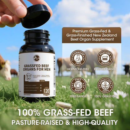 M inch Beef Organs Supplement for Men – Liver, Heart, Kidney, Pancreas with CoQ10 & Tribulus, 240 Count