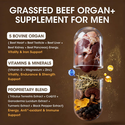 M inch Beef Organs Supplement for Men – Liver, Heart, Kidney, Pancreas with CoQ10 & Tribulus, 240 Count