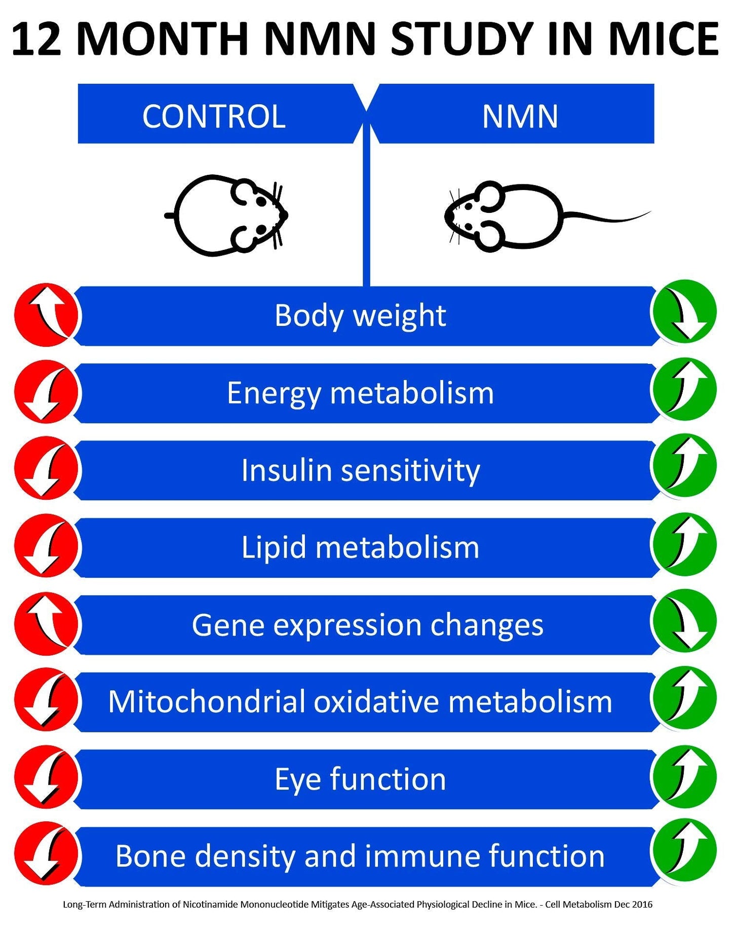 MAAC10 NMN Supplement - 125mg NMN Capsules (30 Count) | NAD+ Booster
