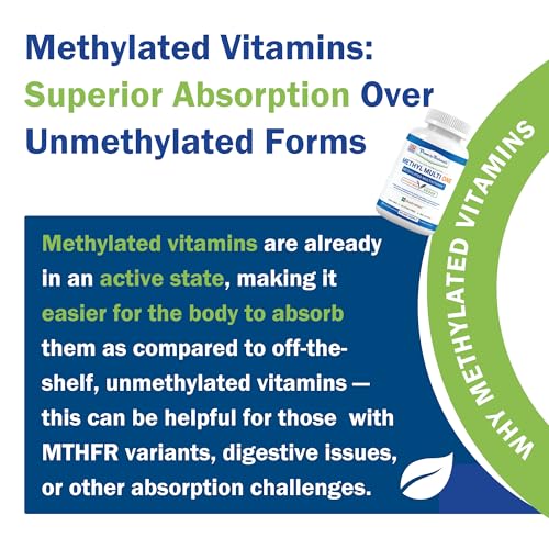 Power By Naturals Methyl Multi One – Iron-Free Methylated Multivitamin for Energy & MTHFR Support (60 capsules, 2-pack)
