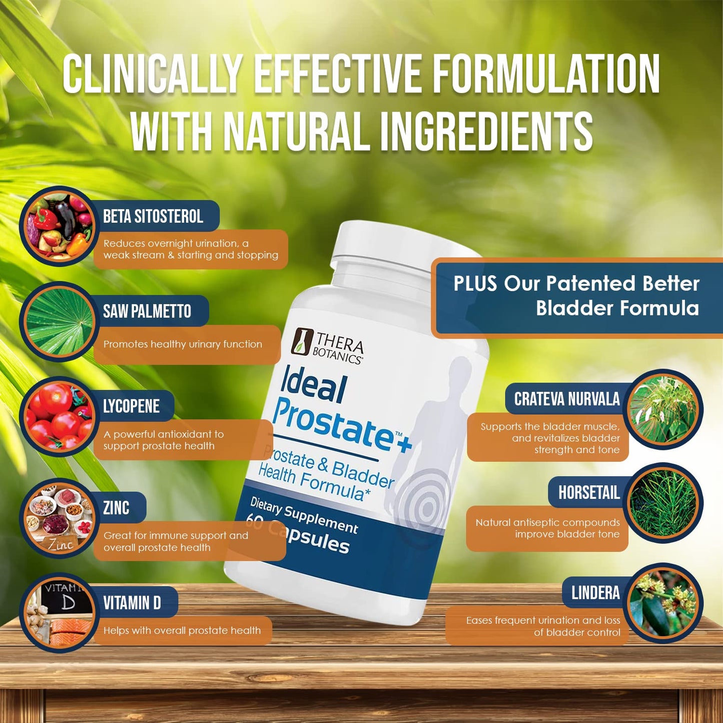 Therabotanics Advanced Men's Prostate Support Plus – Saw Palmetto, Lycopene & Lindera