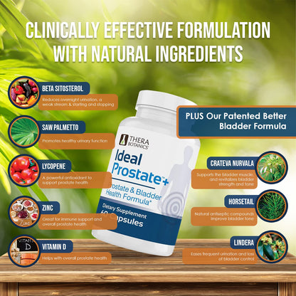 Therabotanics Advanced Men's Prostate Support Plus – Saw Palmetto, Lycopene & Lindera