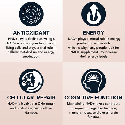 1600 mg Liposomal NAD+ Supplement – 98% Pure NAD+, Superior Absorption, 180 Softgels