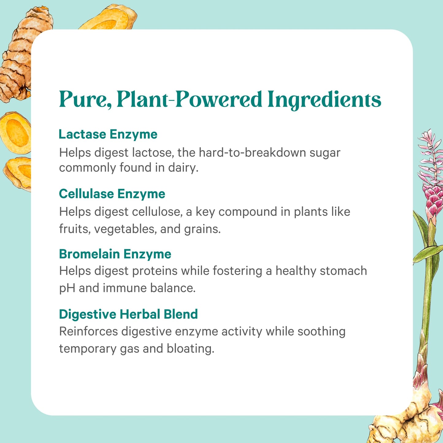 PURE SYNERGY Enzyme Power | Digestive Enzyme Supplement with Nattokinase, Bromelain & Serrapeptase | 90 Capsules