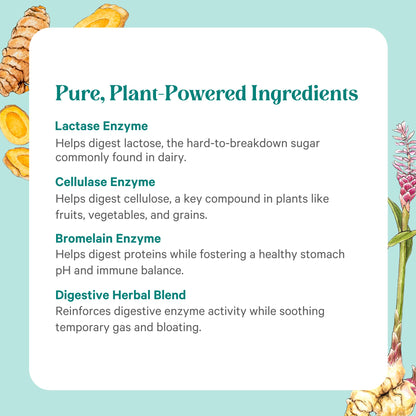 PURE SYNERGY Enzyme Power | Digestive Enzyme Supplement with Nattokinase, Bromelain & Serrapeptase | 90 Capsules