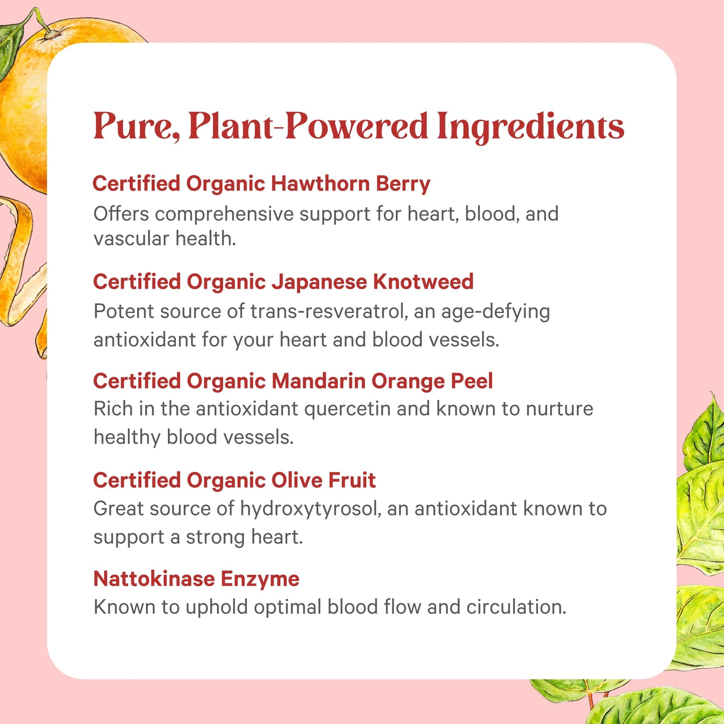 PURE SYNERGY Heart Protector | Organic Hawthorn Berry, Resveratrol & Nattokinase for Heart & Vascular Support | 60 Capsules