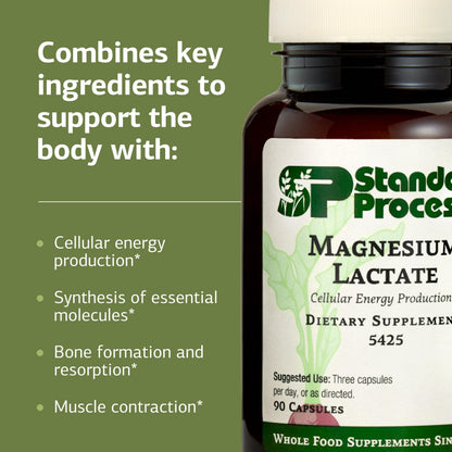 Standard Process Magnesium Lactate 90 Capsules | Energy, Muscle & Bone Support