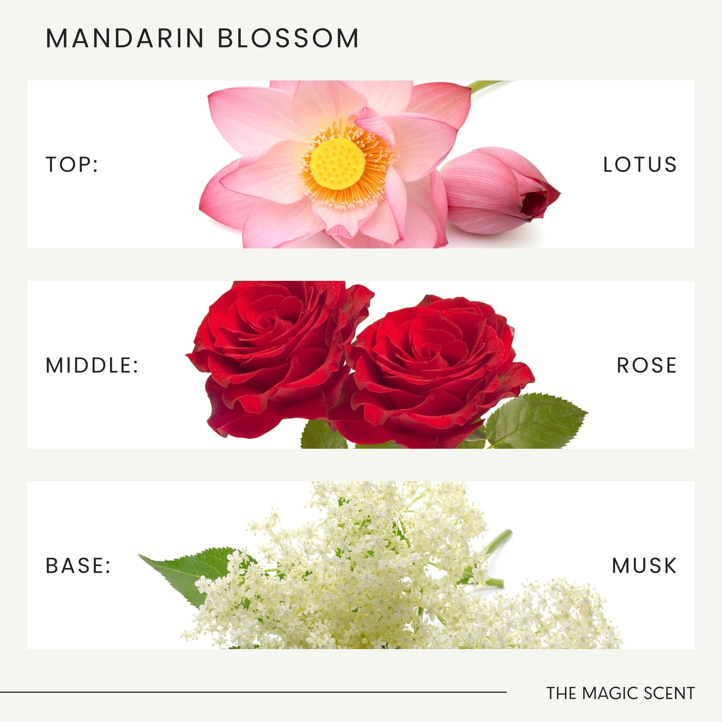 Mandarin Blossom Diffuser Oil – Maldives-Inspired Luxury Scents (16.9 oz / 500 mL)