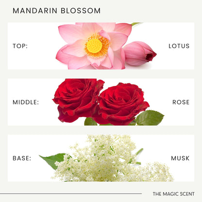 Mandarin Blossom Diffuser Oil – Maldives-Inspired Luxury Scents (16.9 oz / 500 mL)