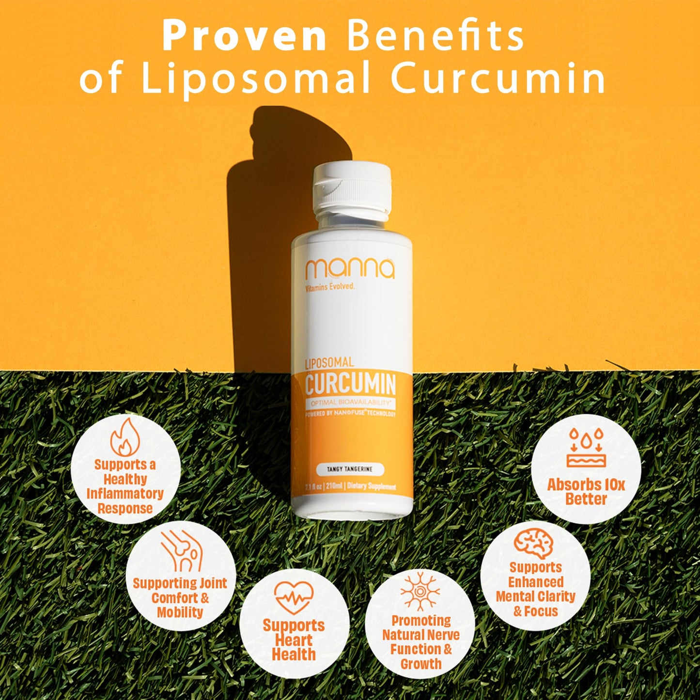 Manna Vitamins Evolved Liposomal Liquid Curcumin for Advanced Absorption – Daily Joint & Immune Health Support (3 Pack) – Vegan, Non-GMO, 95% Curcuminoids