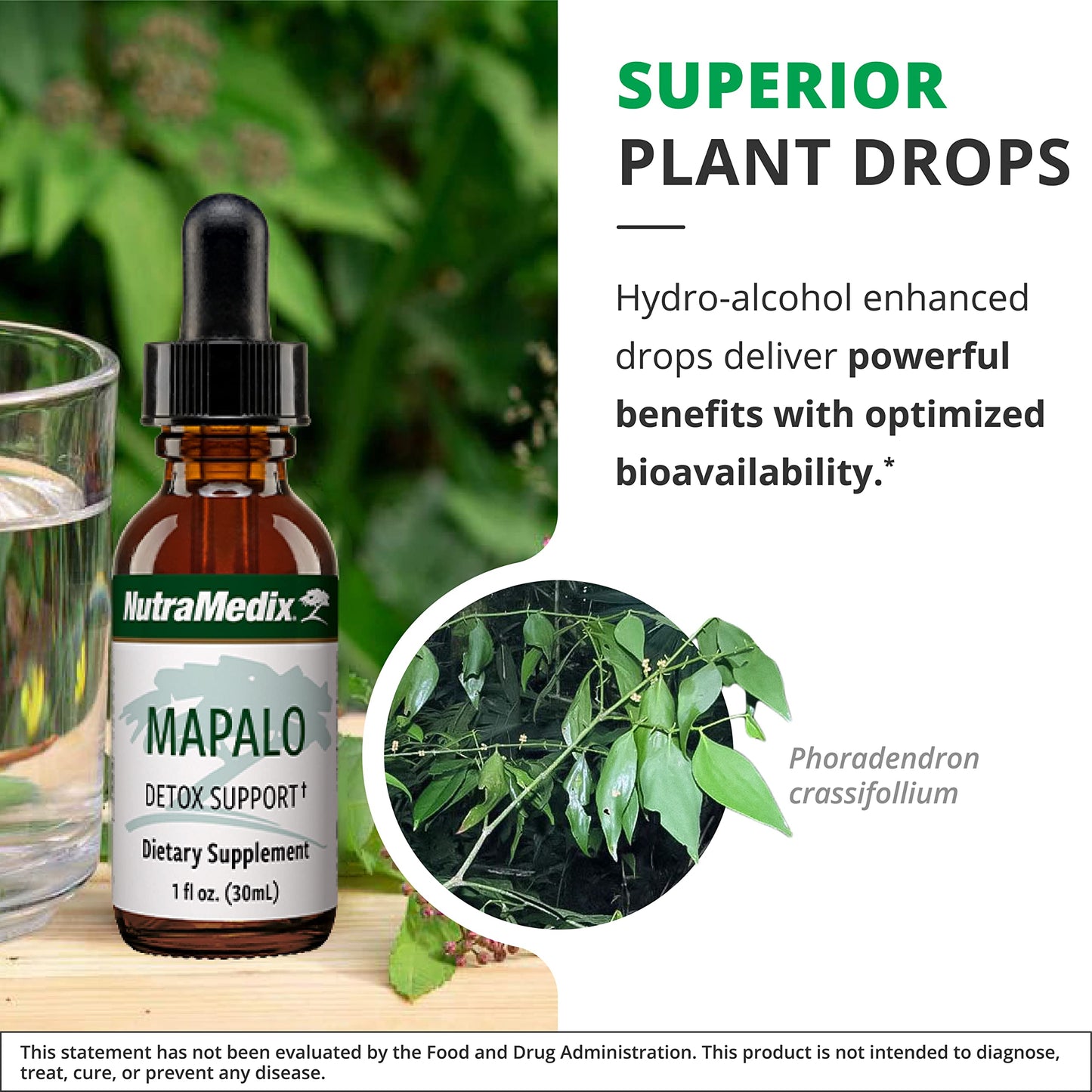 NutraMedix Mapalo Herbal Extract – Cognitive Support & Detox (1oz/30ml)