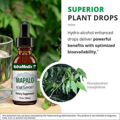 NutraMedix Mapalo Herbal Extract – Cognitive Support & Detox (1oz/30ml)