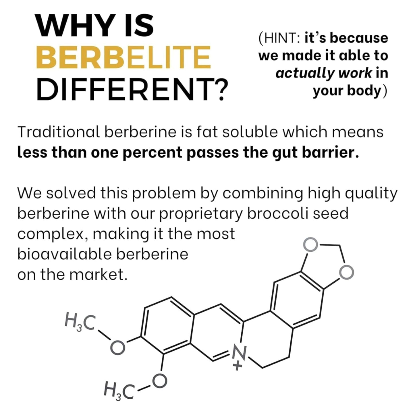BrocElite Mara Labs BerbElite: 350mg Berberine HCL + Broccoli Seed Complex | 120 Vegan Capsules