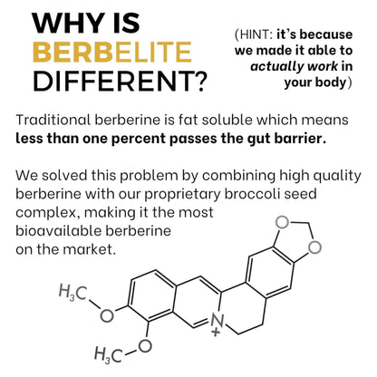 BrocElite Mara Labs BerbElite: 350mg Berberine HCL + Broccoli Seed Complex | 120 Vegan Capsules