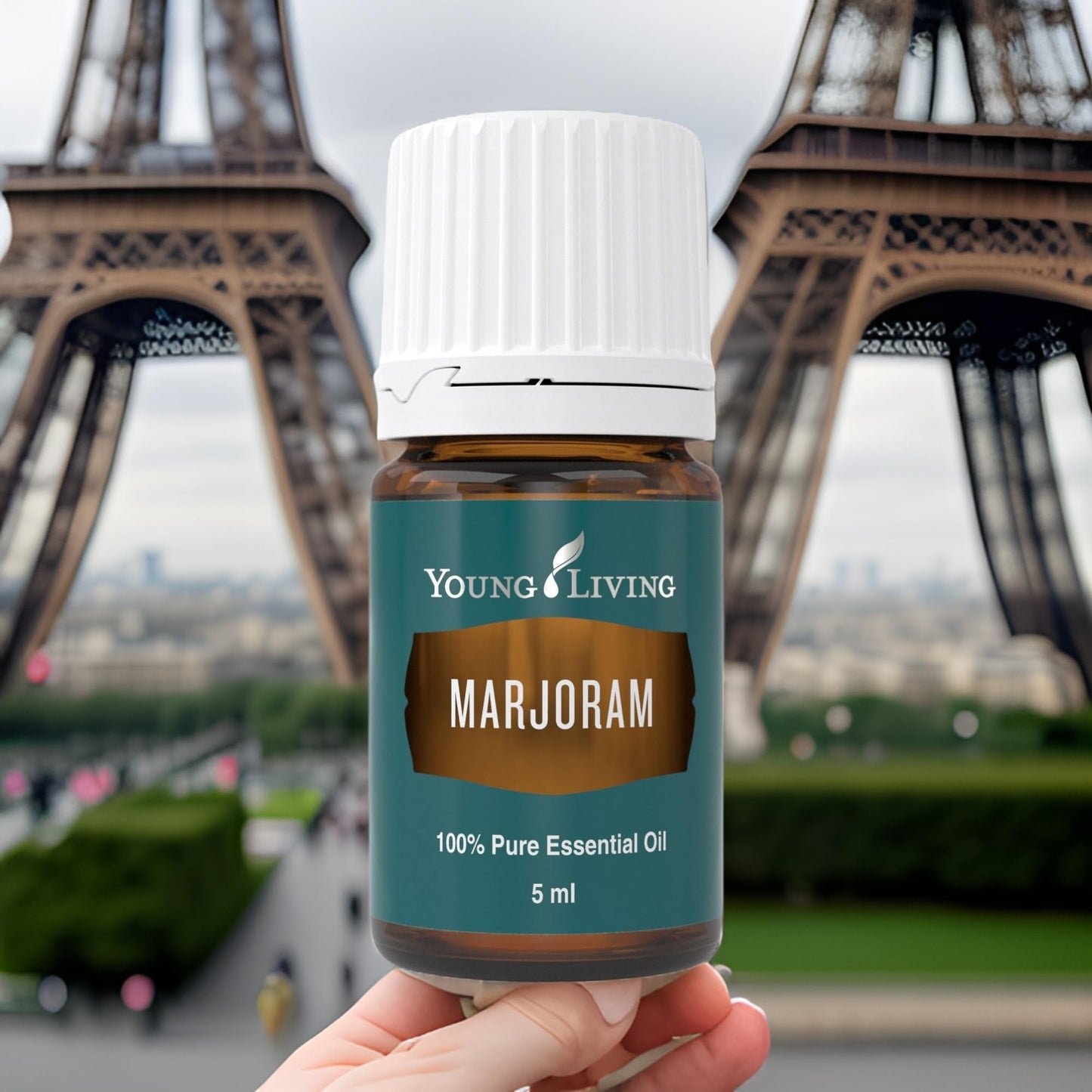 Young Living Marjoram Essential Oil 5 ml | Soothing Muscle Relief & Relaxation