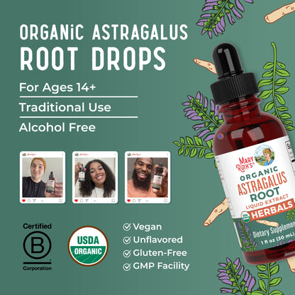 MaryRuth Organics Astragalus Root – Sugar-Free, USDA Organic, Immune Support & Focus | Vegan Liquid Drops 1 Fl Oz