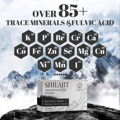 ORBILIVE Shilajit Tablets 1000 MG — Himalayan Organic, 180 Count