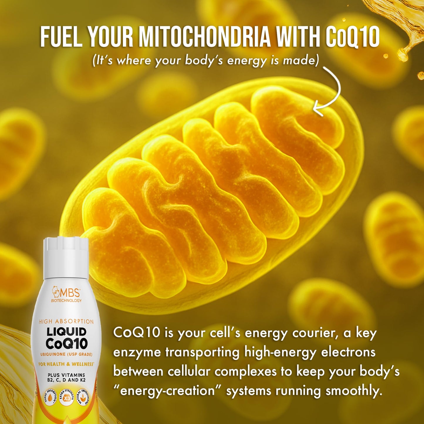 MBS Biotechnology Liquid CoQ10 120mg – 35 Servings, Superior Absorption