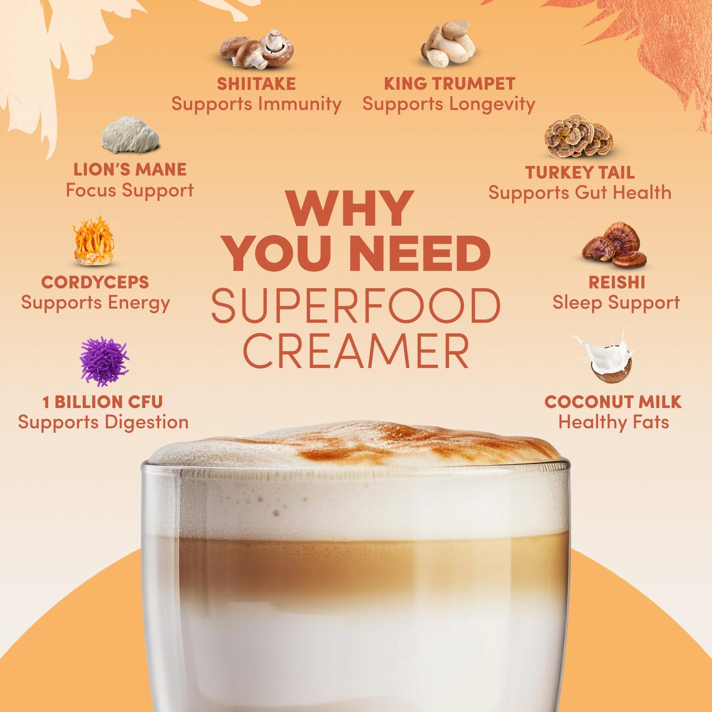 RYZE n Shine Bundle – USDA Organic Mushroom Coffee + Probiotic Creamer | 6 Adaptogenic Mushrooms, MCT Oil, 30+30 Servings