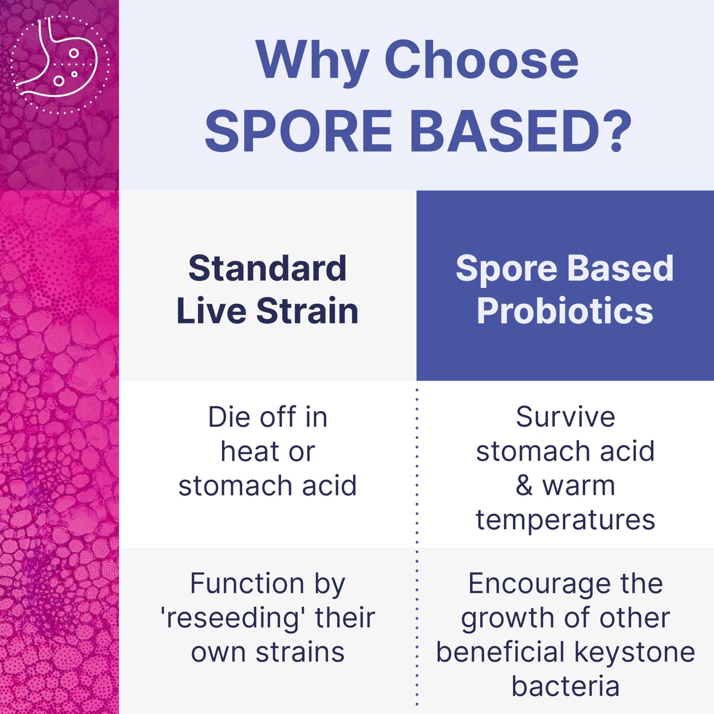 Microbiome Labs MegaSporeBiotic Probiotics for Women & Men - Spore-Based Digestive Health (60 Capsules)