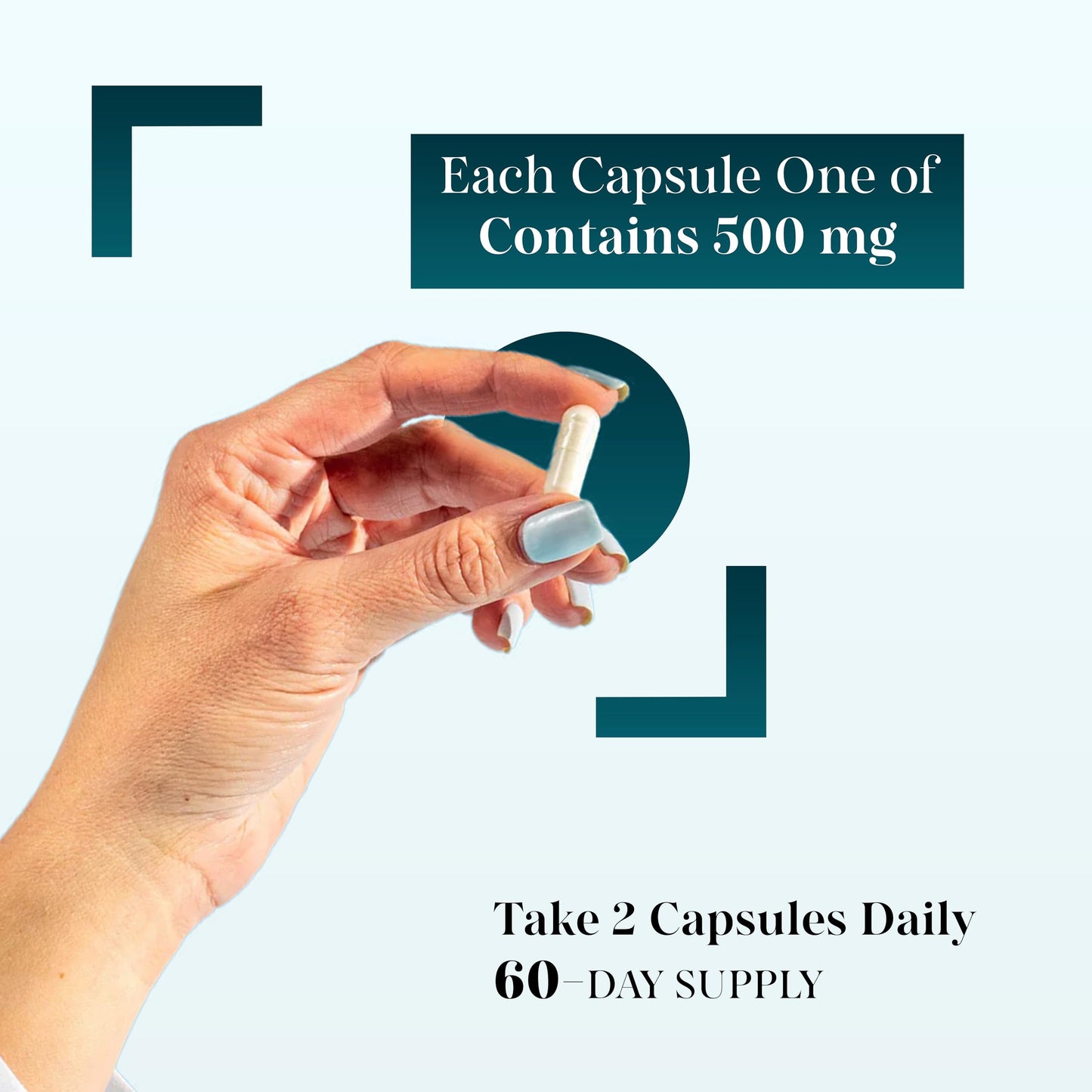 MEIBOTAN Acetyl L-Carnitine 1000 mg – Energy & Focus Support, 120 Veggie Capsules