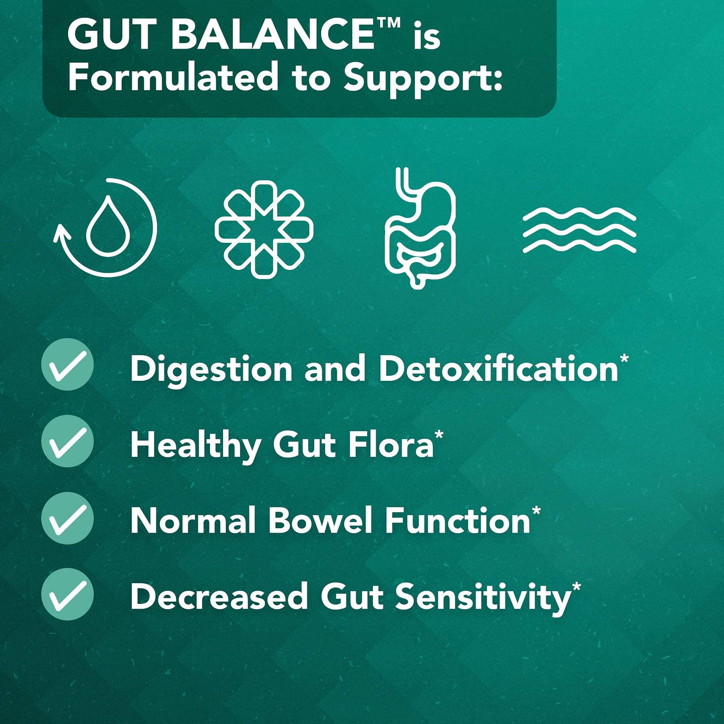 Vital Plan Gut Balance Supplement by Dr. Bill Rawls – Digestive Health Support (180 Capsules)