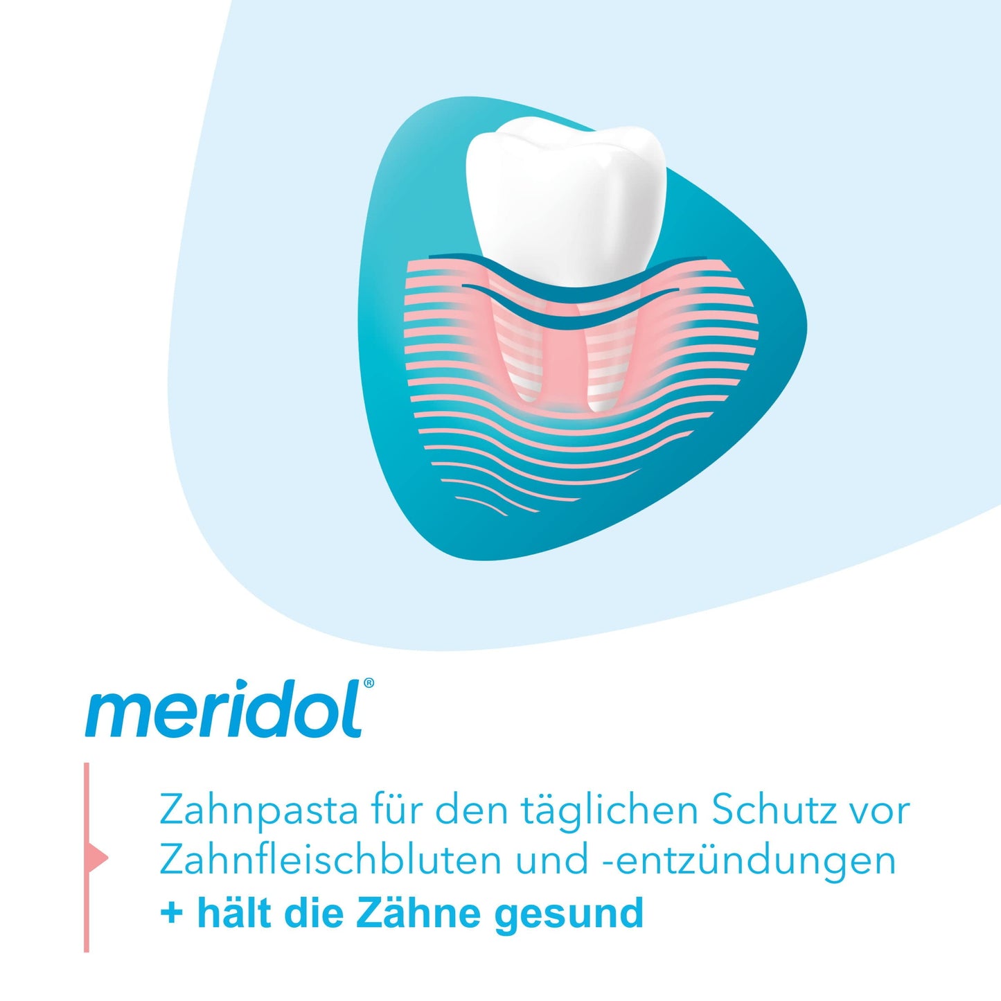 Meridol Toothpaste Double Pack (2x75ml) – 150 ml | Gum Care & Decay Protection