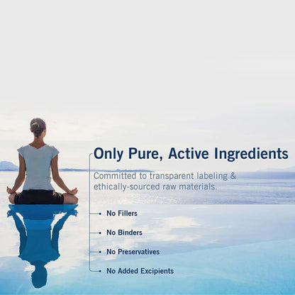 Metabolic Maintenance B-Complex – Methylated B Vitamins for Energy (90 Vegan Capsules)