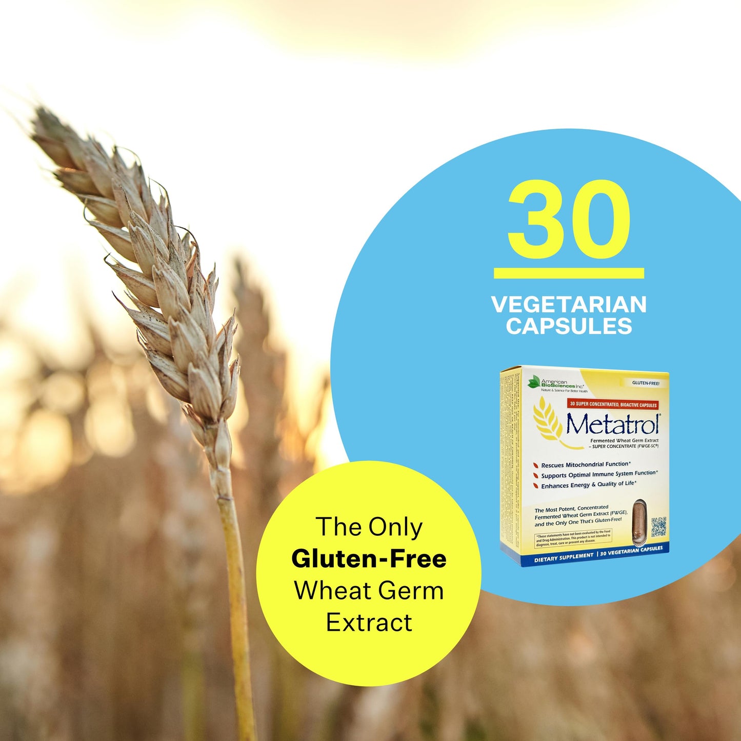 Metatrol Fermented Wheat Germ Extract - Immune & Mitochondria