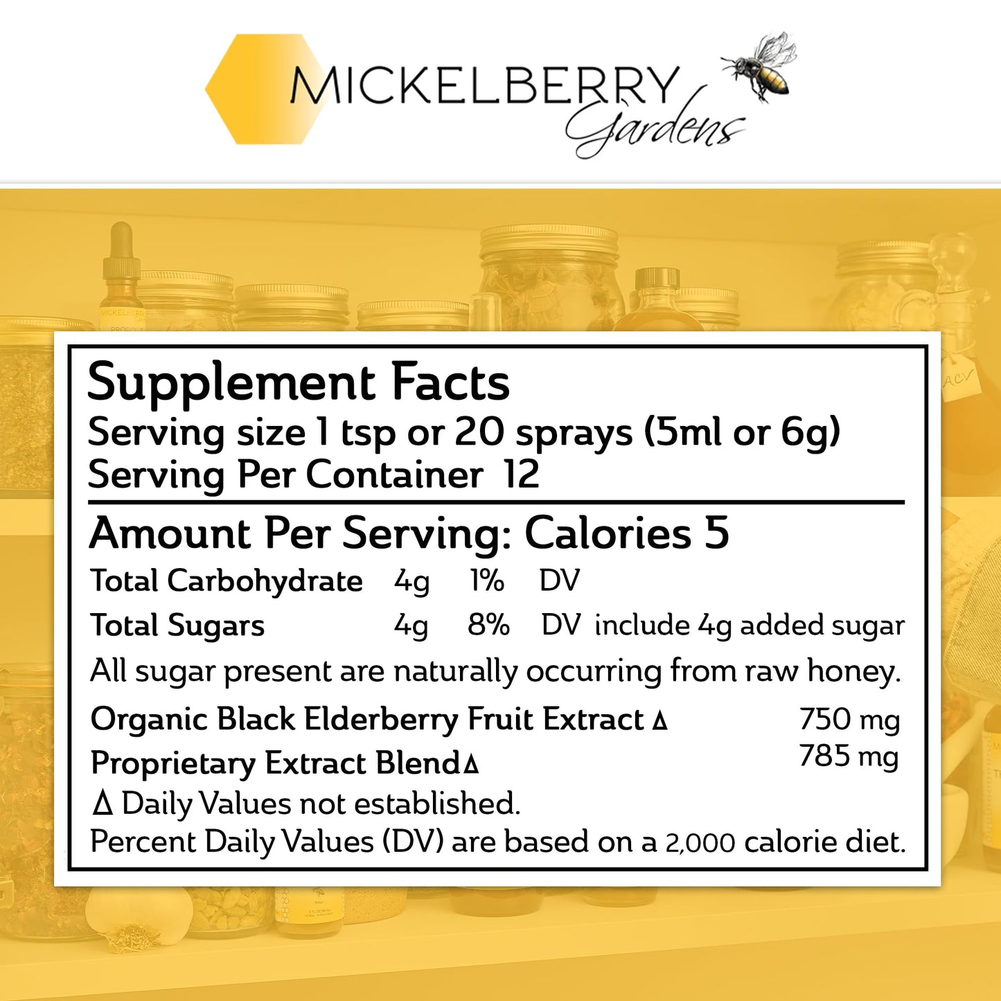 Mickelberry Gardens Elderberry Honey Tonic – 8 oz x 2 Pack | Sambucus Syrup with Elderberry, Honey & ACV