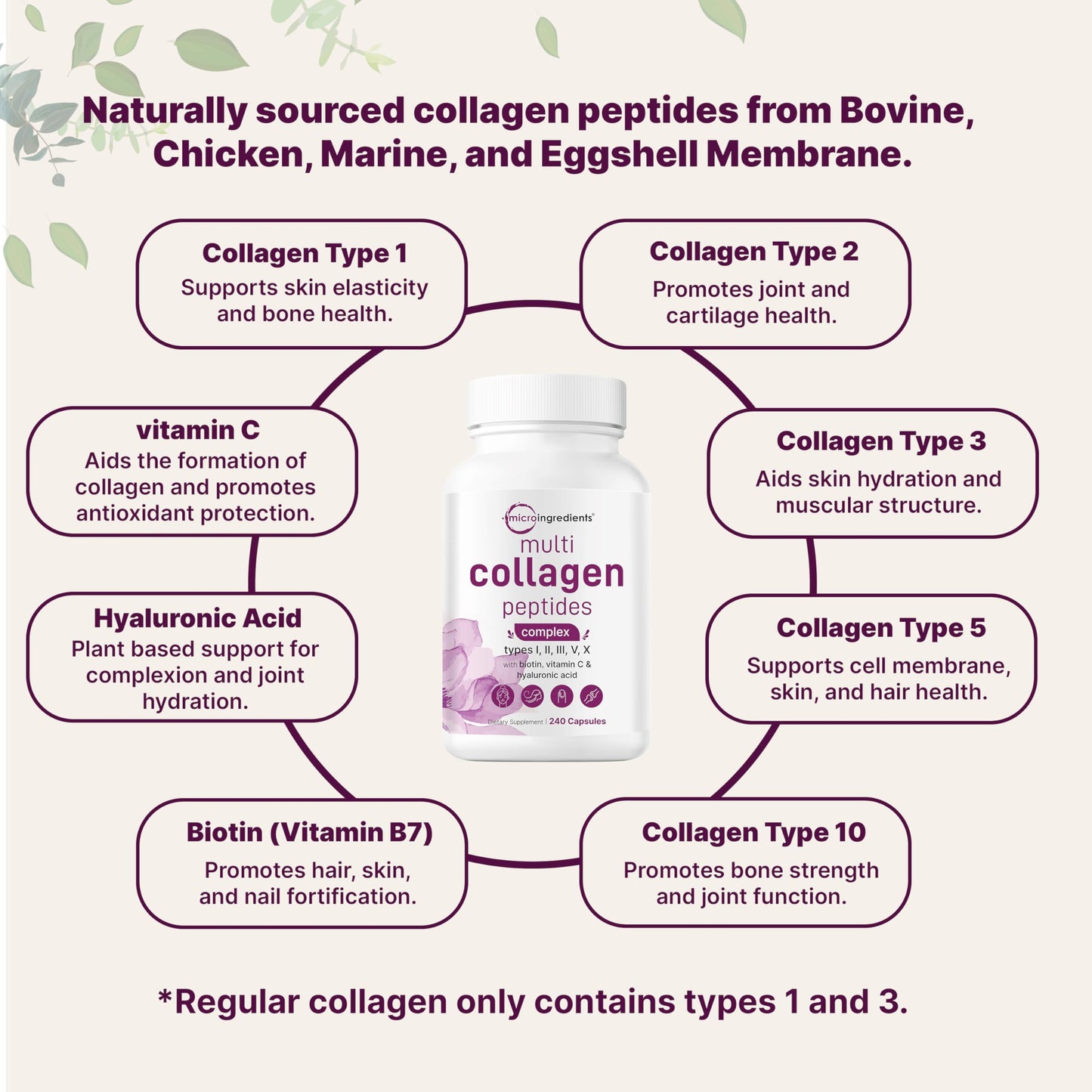 Micro Ingredients 2 Pack Multi Collagen Pills – Types I–X, Biotin & Hyaluronic Acid